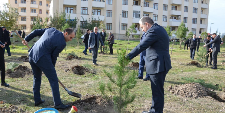 Kürdəmirdə Ulu Öndər Heydər Əliyevin 100 illik yubileyinə həsr olunmuş ağacəkmə aksiyası keçirilib.