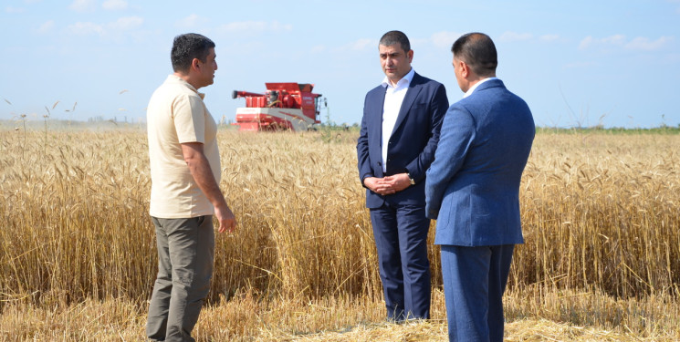 İcra başçısı taxıl biçini tanış olub.